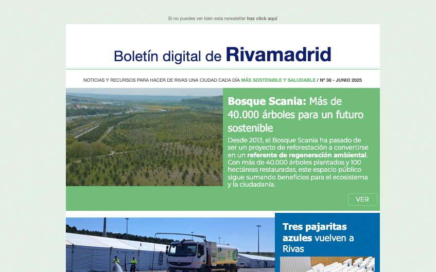 	Boletín Digital Rivamadrid Nº38