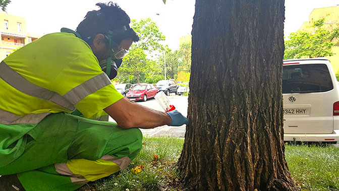 La ciudad vuelve a dar un paso más en su lucha por una gestión pública ecológica y respetuosa con el medio natural
